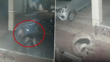 Leopard Attack in Pune: Big Cat Pounces on Sleeping German Shepherd at Residential Complex; Dog Fights Back, Chases It Away (Watch Video)